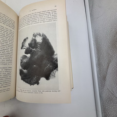 1971 Symbiosis Vol I & II – Microorganisms, Plants & Biota – HC Academic Press