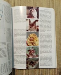 Exploring Animal Behaviour Readings from American Scientist 300 Pages