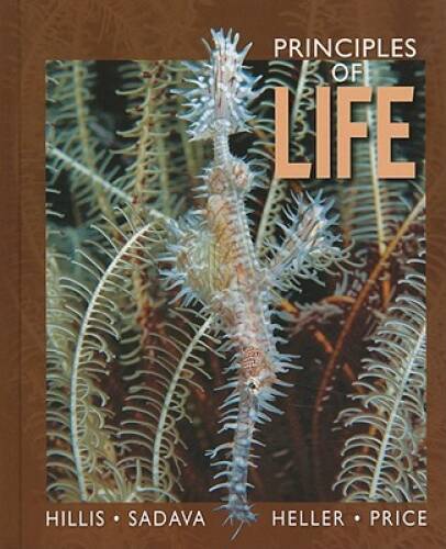 Principles of Life – Hardcover By Hillis, David M. – GOOD