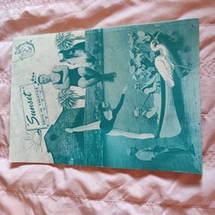 Maribyrnong: Action in Tranquillity – Olwen Ford & Pamela Lewis – 88 Pages, 1989