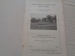 Farm Sheep Raising for Beginners by Marshall Millin 1917 Farmers Bulletin 840 US