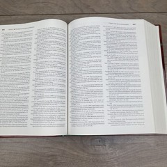 Handbook of Clinical Audiology by Lutwick, Larry