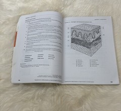 Dental Anatomy Coloring Book 2nd Edition 978-1-4557-4589-0+US SELLER+FREE SHIP