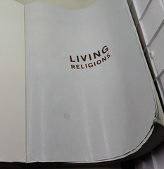 Living Religions 10th Ed. by Mary Pat Fisher & Robin Rinehart 2017 PB