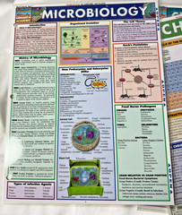 BarCharts Inc Quick Study Academic Lot of 3 Chemistry(2) & Microbiology