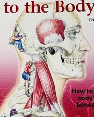 TRAIL GUIDE TO THE BODY ANDREW BIEL 2005 3rd ED HEALTH LOCATE MUSCLES BONES MORE