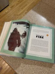 Vintage Student Textbook – Scott Foresman Face To Face 1989 Grade 8