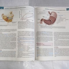 Understanding Pathophysiology by Kathryn L. McCance and Sue E. Huether (2016,…