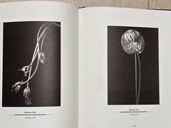 BRAND NEW Journal of Contemporary Photography VOLUME TWO #258/2000 1ST EDITION**