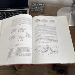 East African Mammals: An Atlas of Evolution in Africa: v. 1, By Jonathan Kingdon