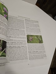 Lost Book of Remedies by Nicole Apelian and Claude Davis Sr.