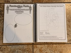Apologia Exploring Creation Human Anatomy & Physiology Textbook/Workbook