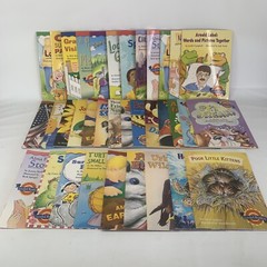 Houghton Mifflin Leveled Readers Levels 2 & 3 Lot of 31 2004
