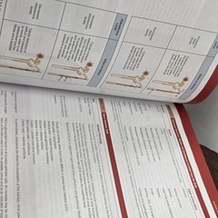 Pathophysiology : A Practical Approach by Lachel Story (2020, Trade Paperback)