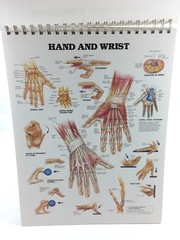 Anatomical Chart Series Classic Library Edition Spiral Homeschool High School