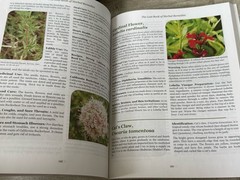 The Lost Book of Herbal Remedies-Plant Medicine-N. Apelian-2019-VERY GOOD Cond