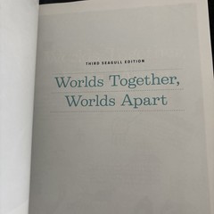 Worlds Together, Worlds Apart : A History of the World from the Beginnings