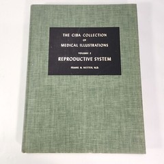 Ciba Medical Illustrations Reproductive System Vol 2 Frank Netter Book 1984 HC