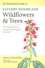 An Illustrated Guide to Eastern Woodland Wildflowers & Trees : 35