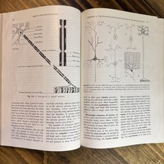 1959 Human Physiology TextBook – Holt Rinehart Winston – See photos