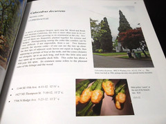Trees of Greater Portland (New Edition) by Phyllis C. Reynolds