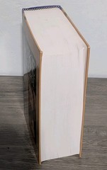 Luke 1:1-9:50 by Darrell L. Bock (Baker Exegetical Commentary on the NT)