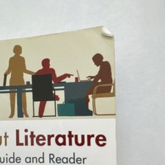 Bedford St. Martin’s Arguing about Literature by Schilb & Clifford Paperback