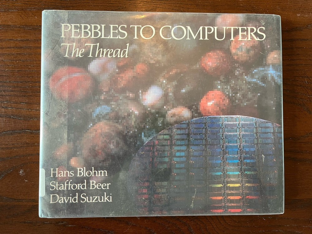 Pebbles to Computers The Thread Hans Blohm Stafford Beer Suzuki HC DJ Ex Lib