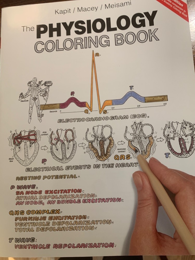 Physiology Coloring Book by Wynn Kapit, Esmail Meisami and Robert Macey…