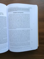 Acts Baker Exegetical Commentary on the New Testament Darrell L Bock 2007