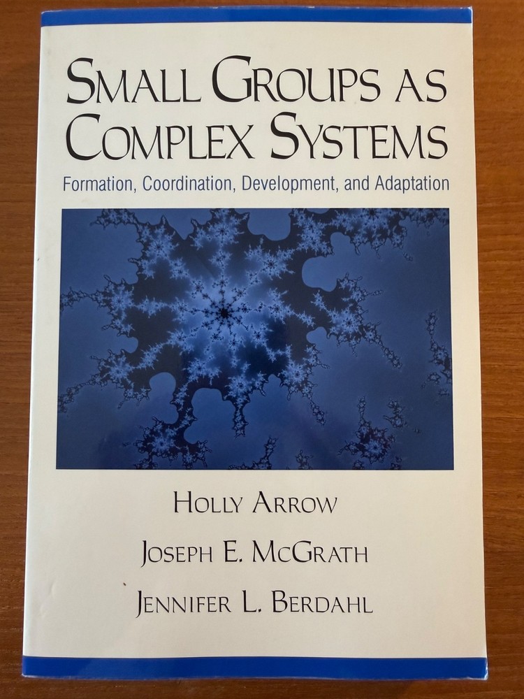 SMALL GROUPS AS COMPLEX SYSTEMS