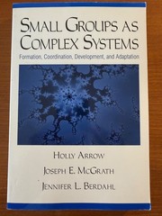 SMALL GROUPS AS COMPLEX SYSTEMS