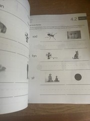 CKLA Amplify Grade K Skills 4 Activity book Enrichment Intervention Homework