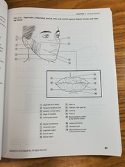 Dental Anatomy Coloring Book (2018, Trade Paperback) 3rd Edition