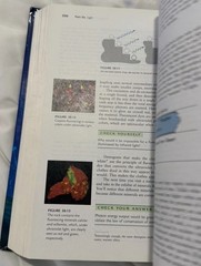 Conceptual Physics 10Th Edition Paul G Hewitt Textbook Gently Used