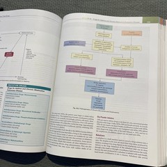 Lehne’s Pharmacotherapeutics for Advanced Practice Nurses, 2nd Edition