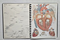 Schick Notebook Charts Human Anatomy Softcover Spiral Bound Book (1987)