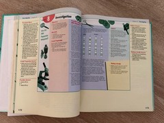 Holt Biology: Visualizing Life by Rinehart and Winston Staff Holt