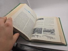 Modern Biology Otto Towle Holt Rinehart HC VTG Textbook 1969
