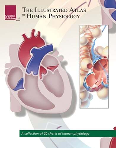 The Illustrated Atlas of Human Physiology: A Collection of 20 Anatomical Charts