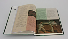BJU Press- Reading 5 for Christian Pages in My Head Second Edition-Hardcover