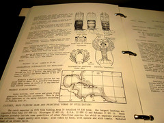 Western Central Atlantic Fishing Area 31- VOLUME 6: Lobsters, Shrimps and Prawns