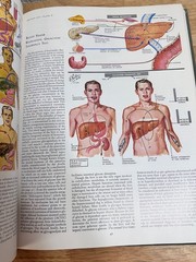 The CIBA Collection Of Medical Illustrations Volume 3 Digestive System 1964