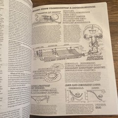 The Physiology Coloring Book by Kapit, Wynn; Macey, Robert; Meisami, Esmail