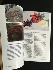 PLAN AND PLANT FOR A BETTER WORLD J. C. Raulston & NCSU Arboretum Gardens NEW PB