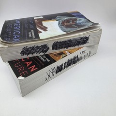 The Norton Anthology of American Literature Vol 1 and 2 10th Edition