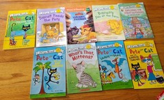 Lot Of 75 Learn To Read Books, Levels 0-4