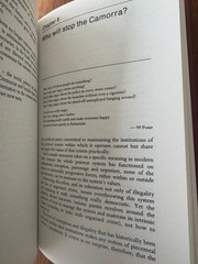 The Camorra: Political Criminality in Italy by Tom Behan (Hardcover, 1995)