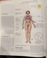 Netter Green Book Collection: Netter Collection of Medical Illustrations:…