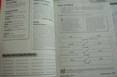Scott Foresman Reading Street, gr. 5/5th LN Text & NEW Workbook! 2009